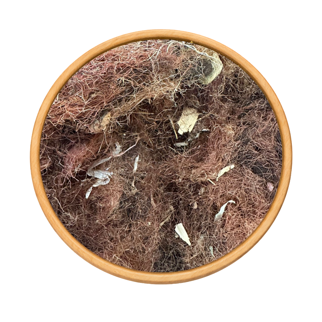 Stigmates de Maïs 100g / 200g / 500g / 1000g – Tisane Naturelle & Soin Cheveux 2
