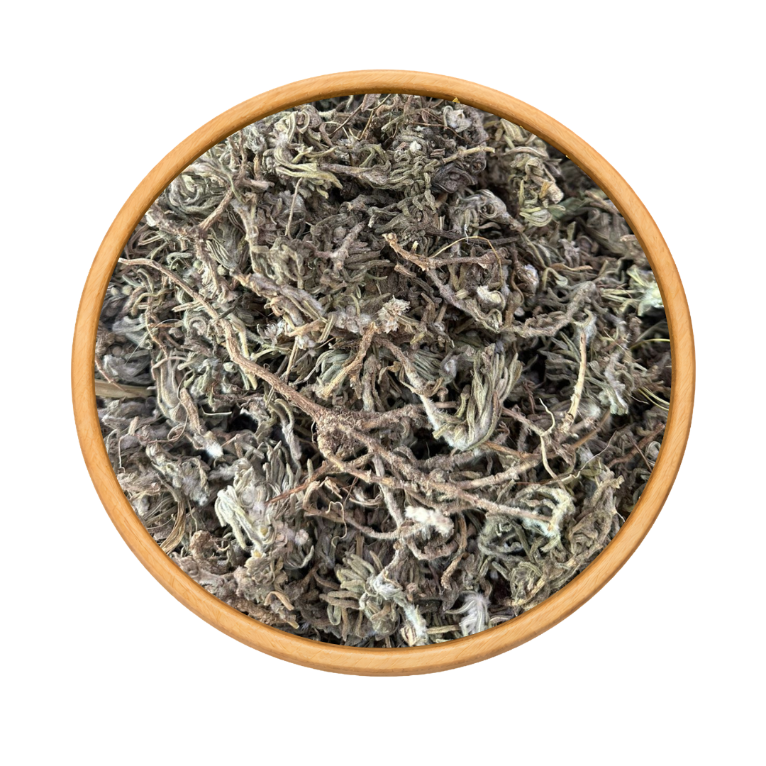 Germandrée Chenkdoura 50g / 100g / 200g – Herbe Sauvage Naturelle