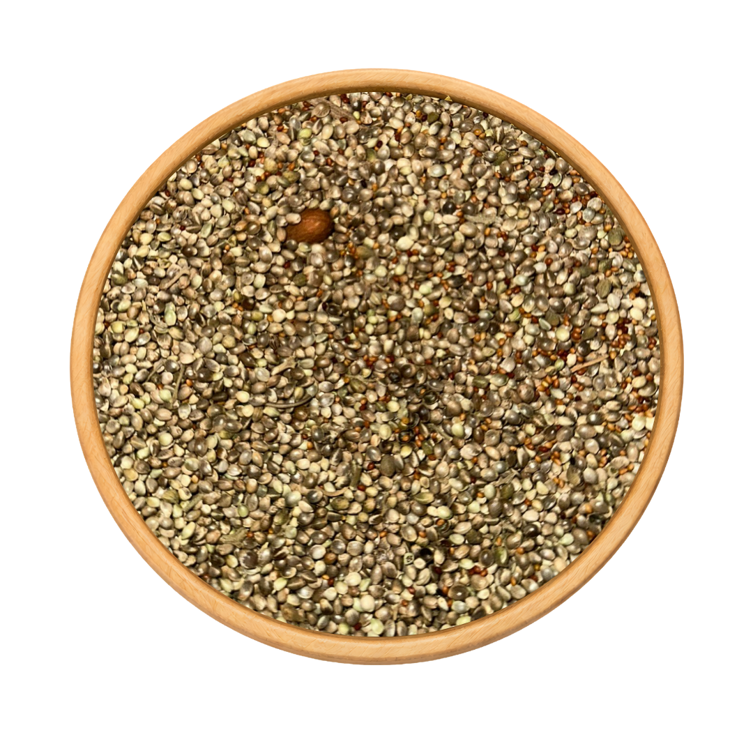 Graines de Chanvre Beldi – Naturelles & Authentiques du Terroir 
