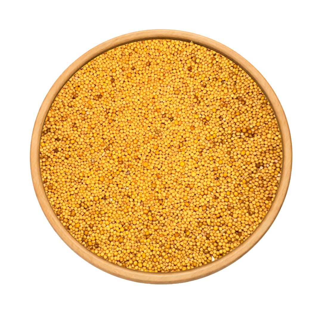 Graines de Moutarde Jaune – Douces & Aromatiques 2