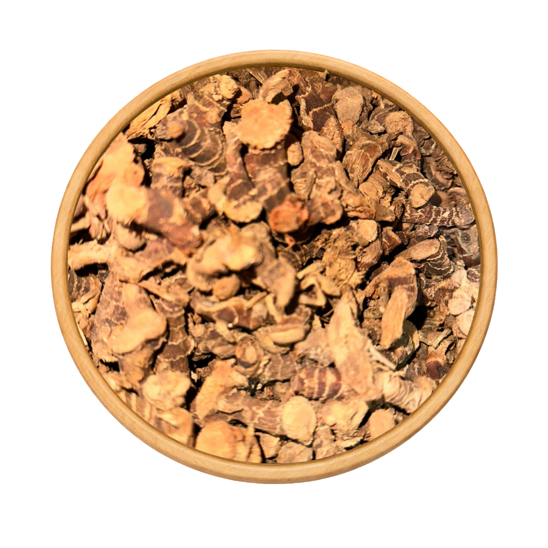 Khoudanjal (Galanga) – Racine Aromatique Naturelle 2