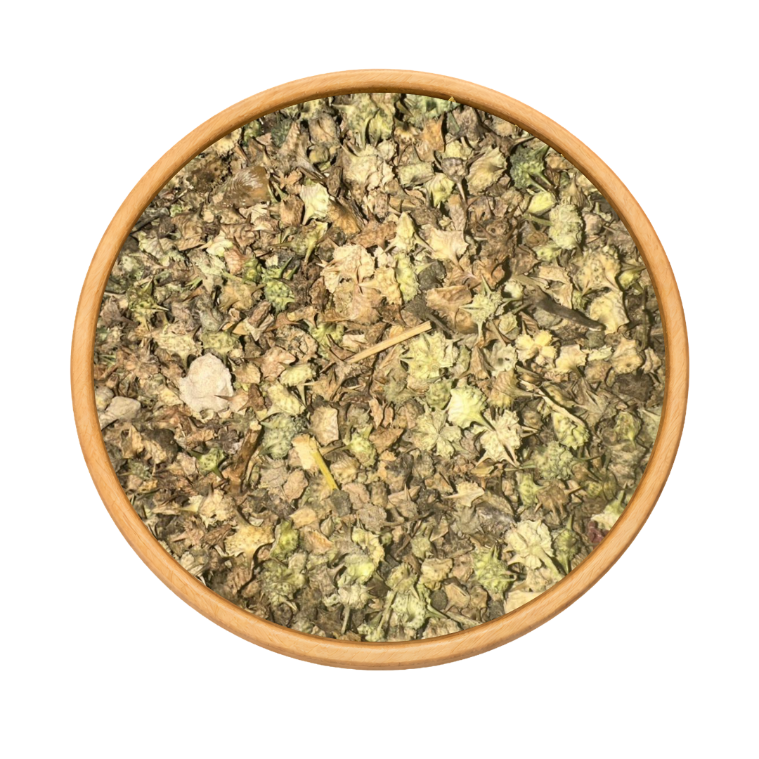 Tribulus Terrestris – El Hesska Plante Sauvage 1