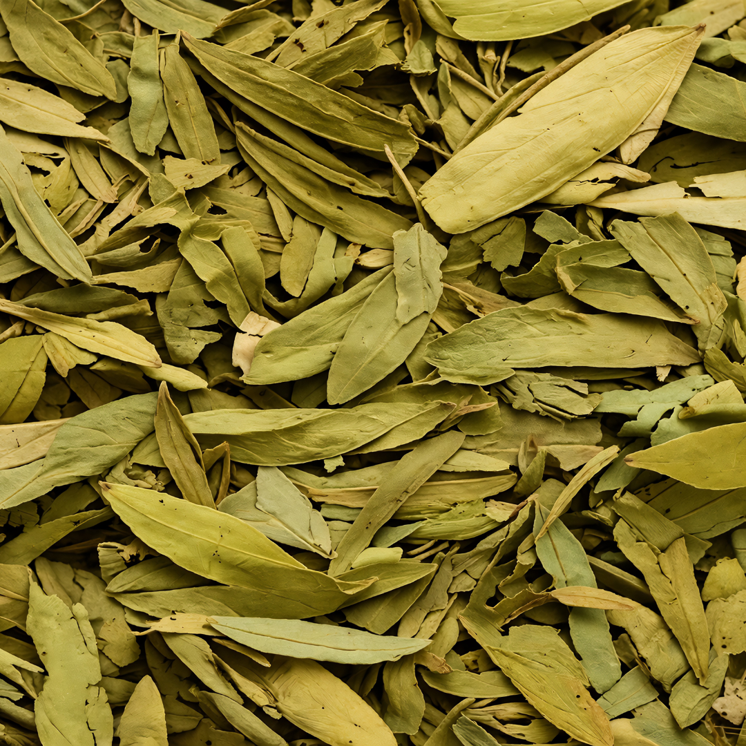Feuilles de Sana & Sanoute – Séné Makki