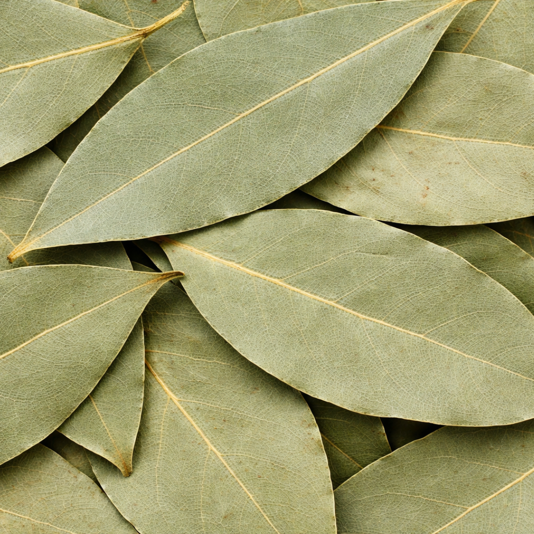 Feuilles de Laurier (Al Ghar) – 50g / 100g / 200g – Infusion & Usage Naturel
