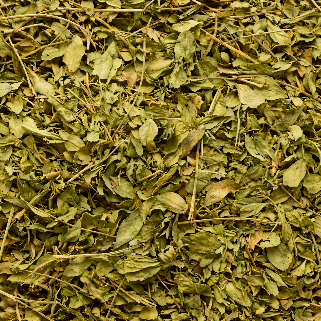 Feuilles de Henné Séchées du Maroc 2