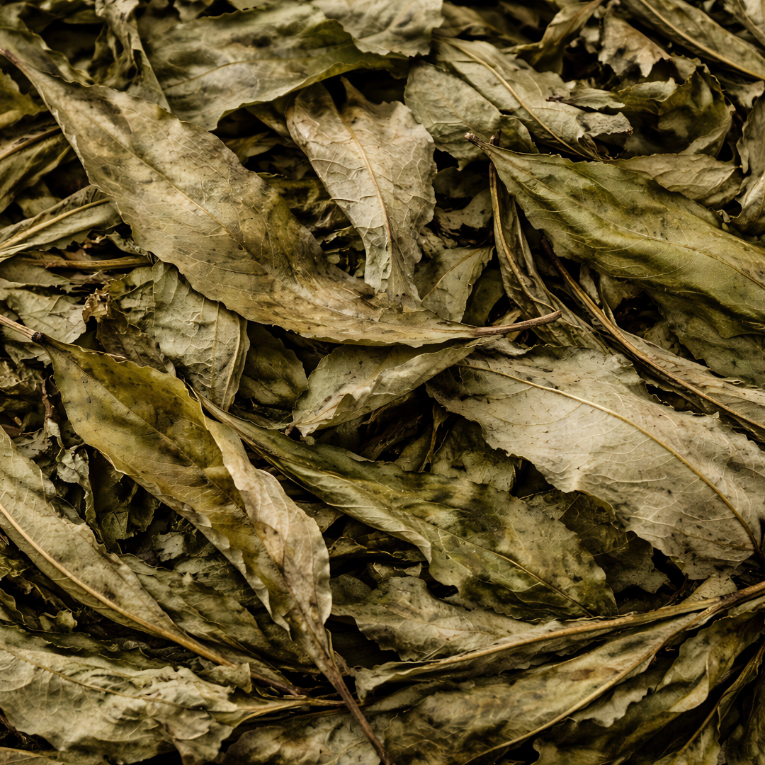 Feuilles de Pêcher – 50g / 100g / 200g – Infusion & Bien-être Naturel