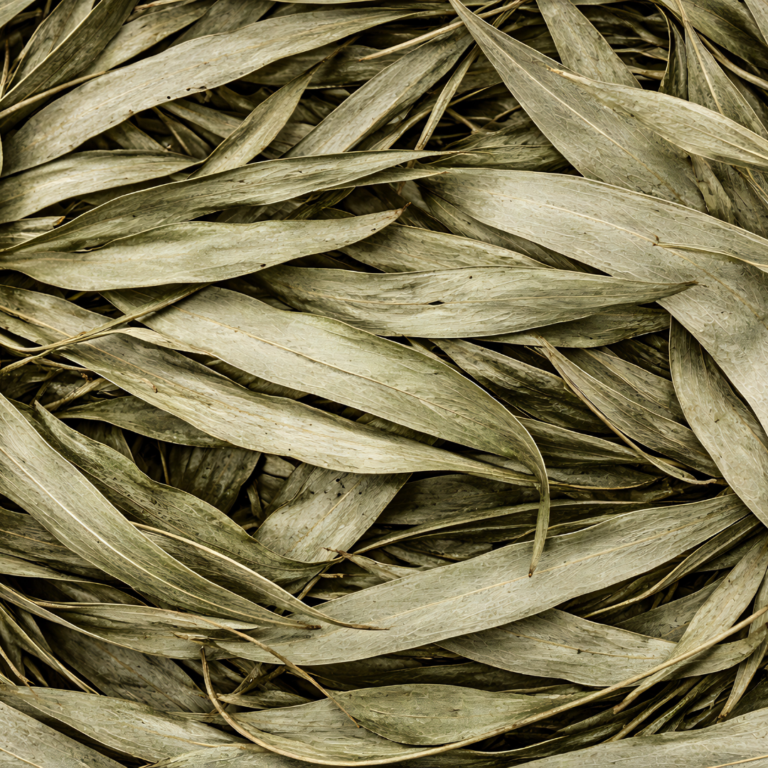 Feuilles d’Eucalyptus Séchées – 50g / 100g / 200g – Infusion & Inhalation
