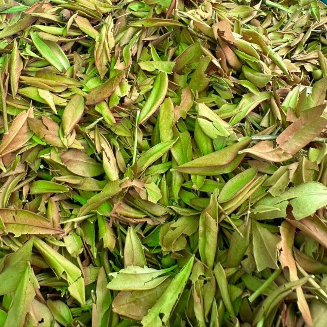 Myrthe Rouge Rayhan 50g / 100g / 200g – Plante Naturelle Cheveux