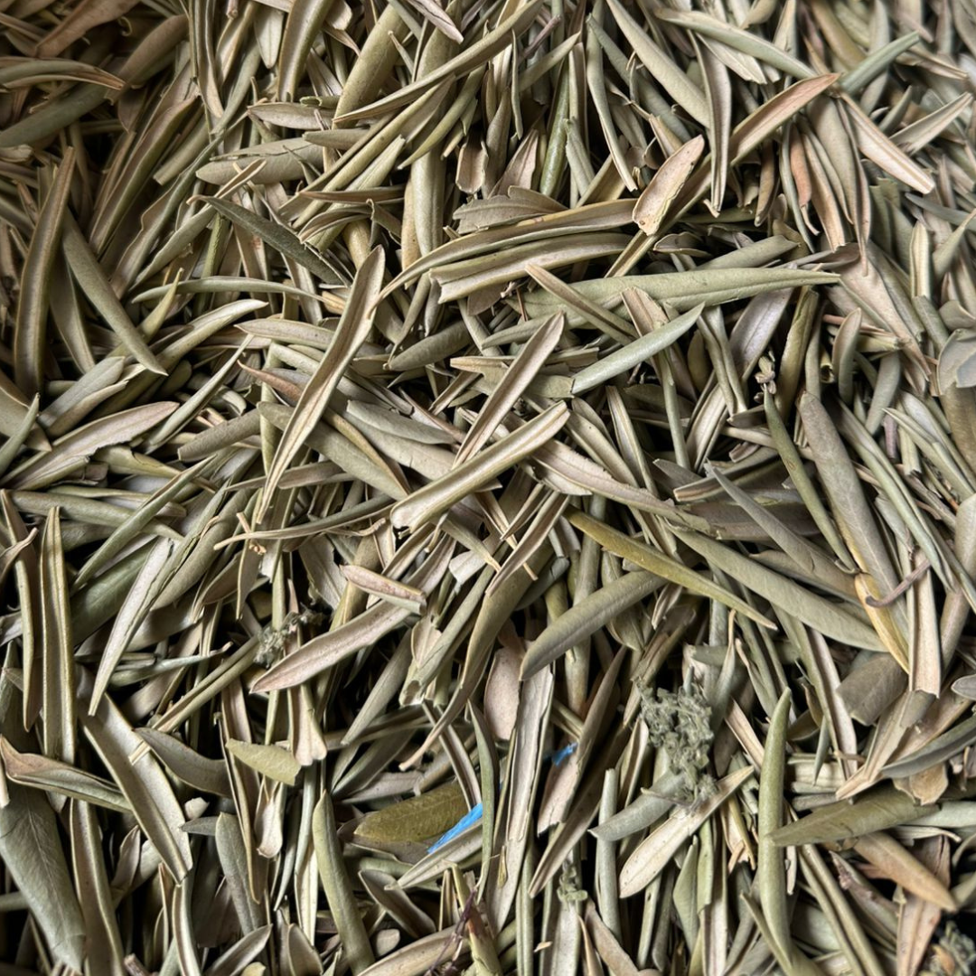 Feuilles d’Olivier El Zaytoun 50g / 100g / 200g – Plante Naturelle Infusion