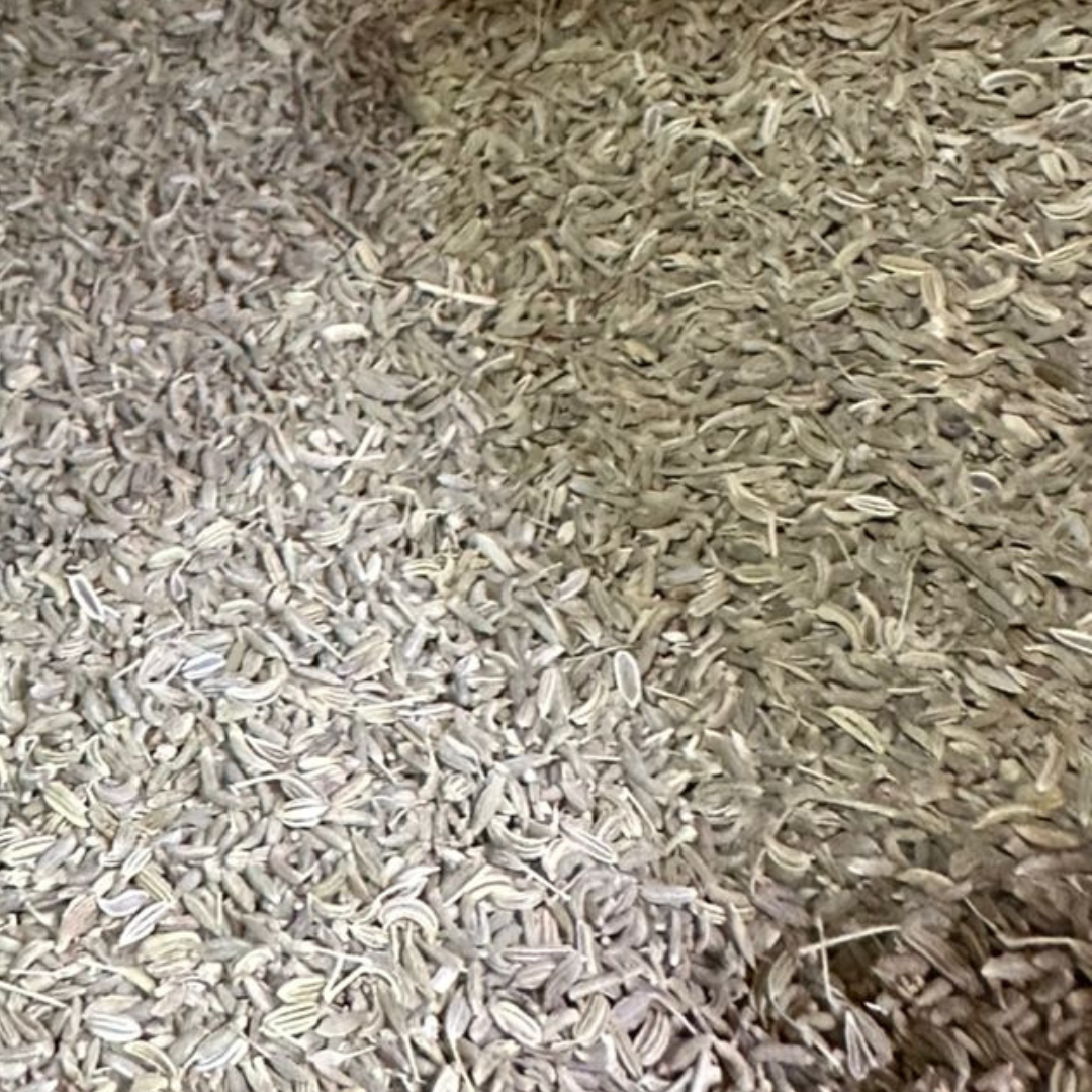 Graines de Fenouil Beldi Nafâa 50g / 100g / 200g / 1000g – Épice Naturelle 2