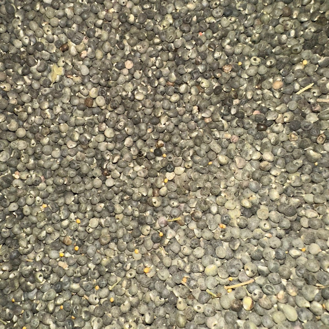 Mouloukhia (Grains de Gambos / Mauve) – ملوخية Authentique