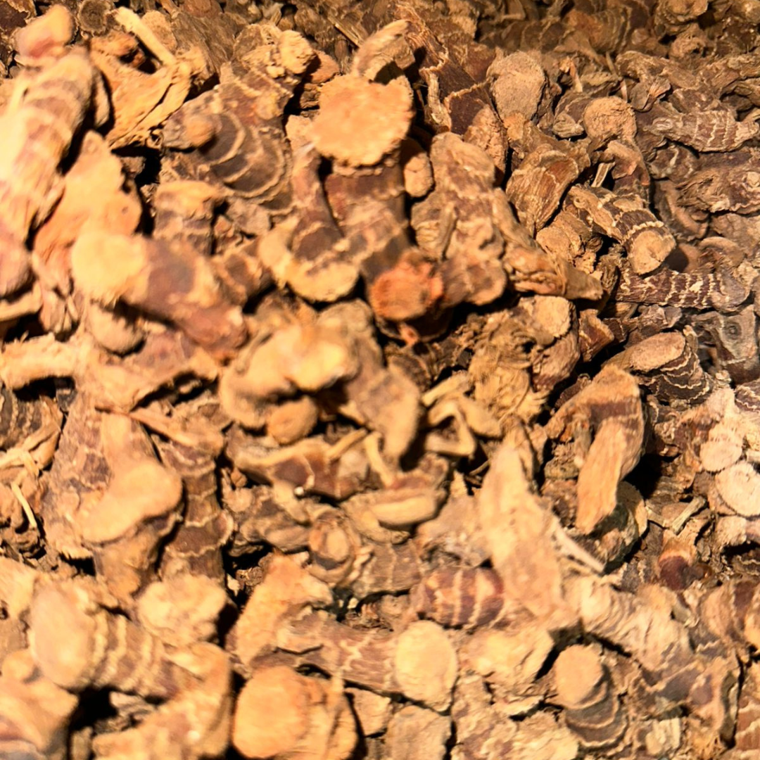Khoudanjal (Galanga) – Racine Aromatique Naturelle 1