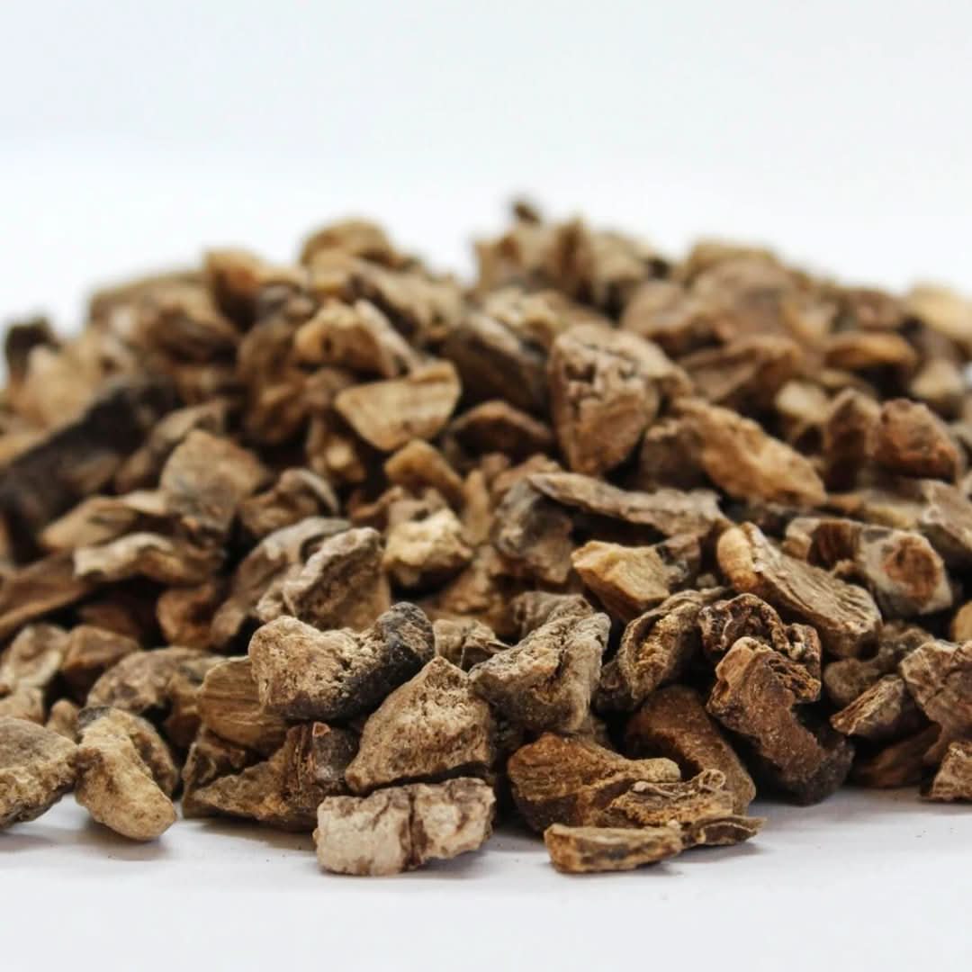 Oud el msekhssekh - 50g RACINE DE GRIFFE DU DIABLE - عود المسخسخ - nilabeautys.com