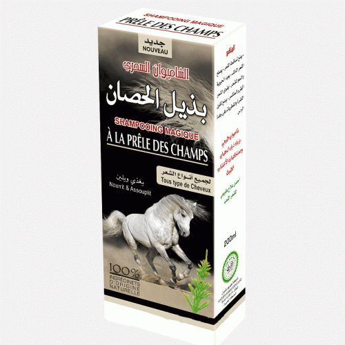 Shampoing Magique au Chanvre Indien 200ml-Shampooing-ikhlass-pack de 6-Rostiy